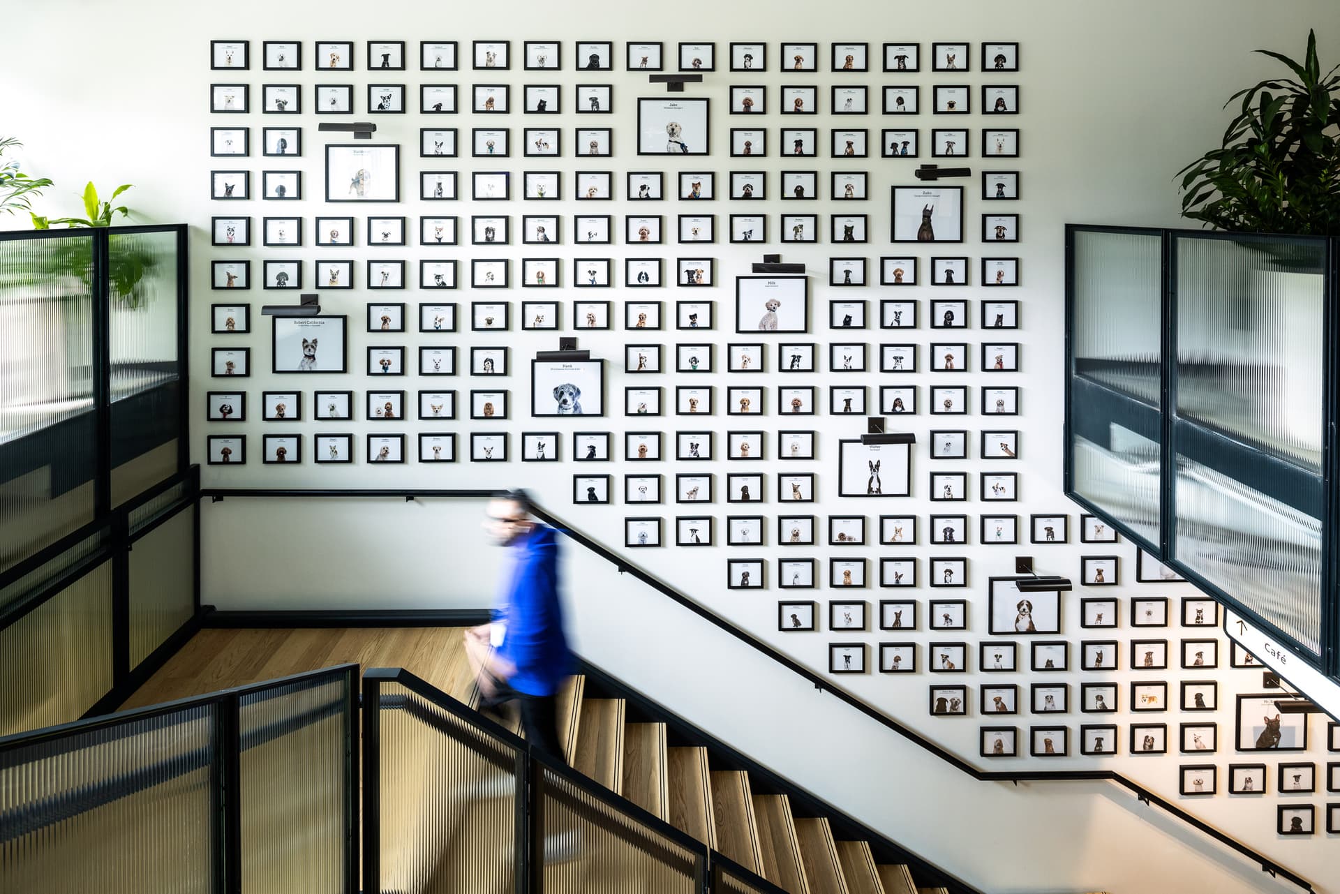 Amazon, Arlington, COE, Center of Energy, Dogs of Amazon Wall, EGD, HQ2, METS, Merlin, Mets 678, NBBJ, Studio 7, Virginia, Washington D.C., dog, environmental graphics, frame, interior design, interiors, staircase, stairs
Amazon, Arlington, COE, Center of Energy, Dogs of Amazon Wall, EGD, HQ2, METS, Merlin, Mets 678, NBBJ, Studio 7, Virginia, Washington D.C., dog, environmental graphics, frame, interior design, interiors, staircase, stairs